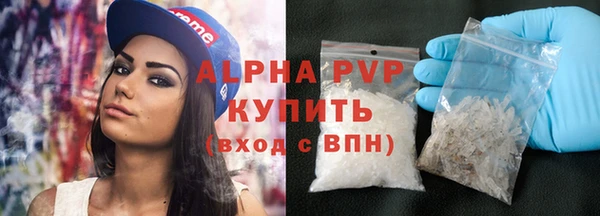 хмурый Аркадак