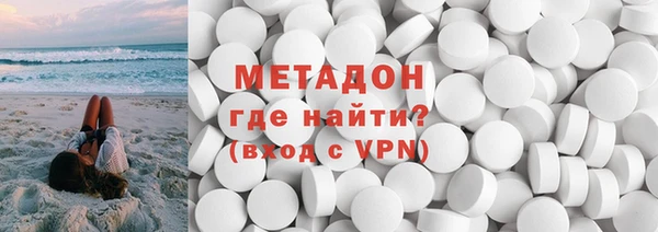 хмурый Аркадак