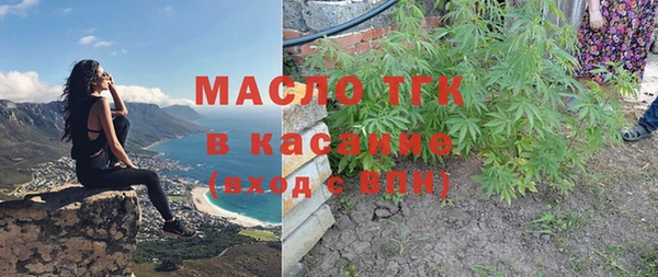 хмурый Аркадак