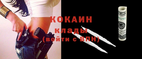 хмурый Аркадак