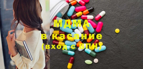хмурый Аркадак