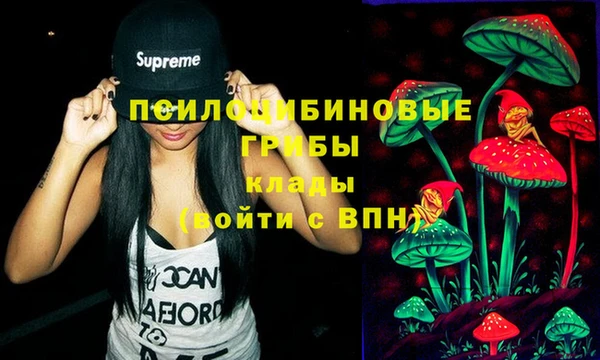 дживик Арсеньев