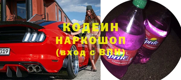 дживик Арсеньев