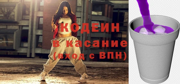 хмурый Аркадак