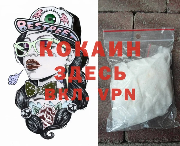 хмурый Аркадак