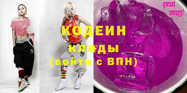 хмурый Аркадак