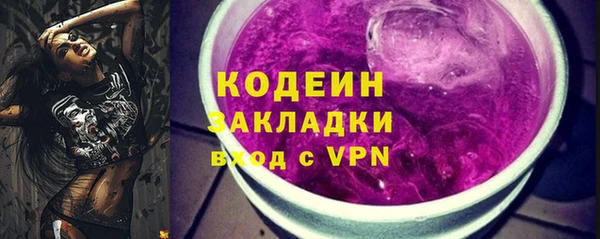 дживик Арсеньев