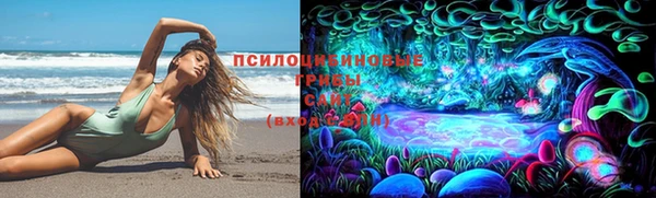 дживик Арсеньев