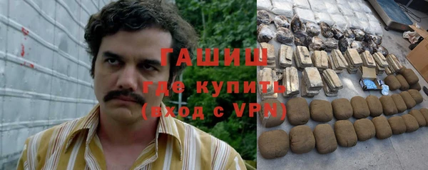 хмурый Аркадак
