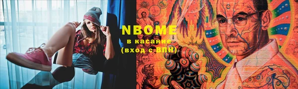хмурый Аркадак