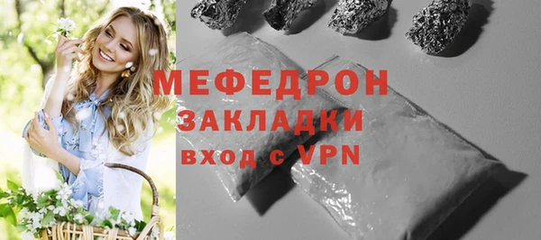 хмурый Аркадак