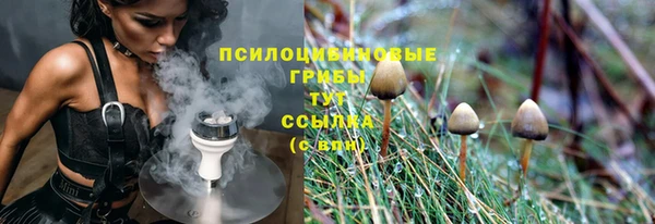 дживик Арсеньев