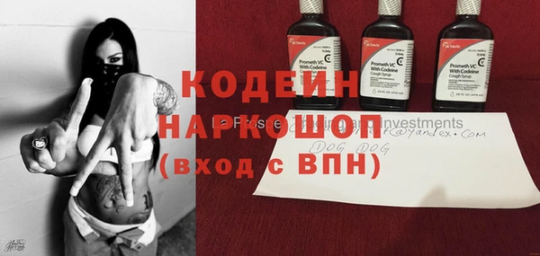 хмурый Аркадак