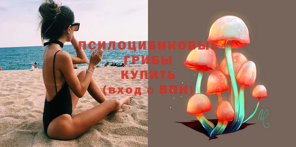 дживик Арсеньев