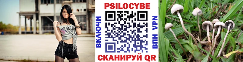 Галлюциногенные грибы GOLDEN TEACHER  магазин продажи   Бородино 